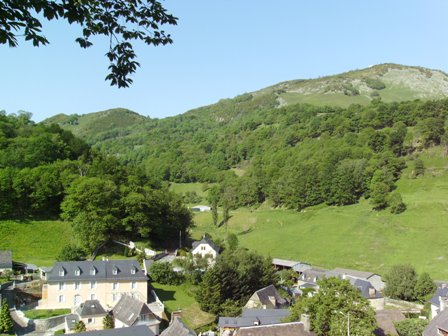 Viscos
