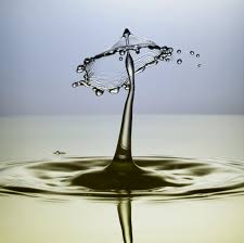 Exposition de photographies de Myriam Duquenne : « De l’eau d’ici à l’amour de l’autre »
