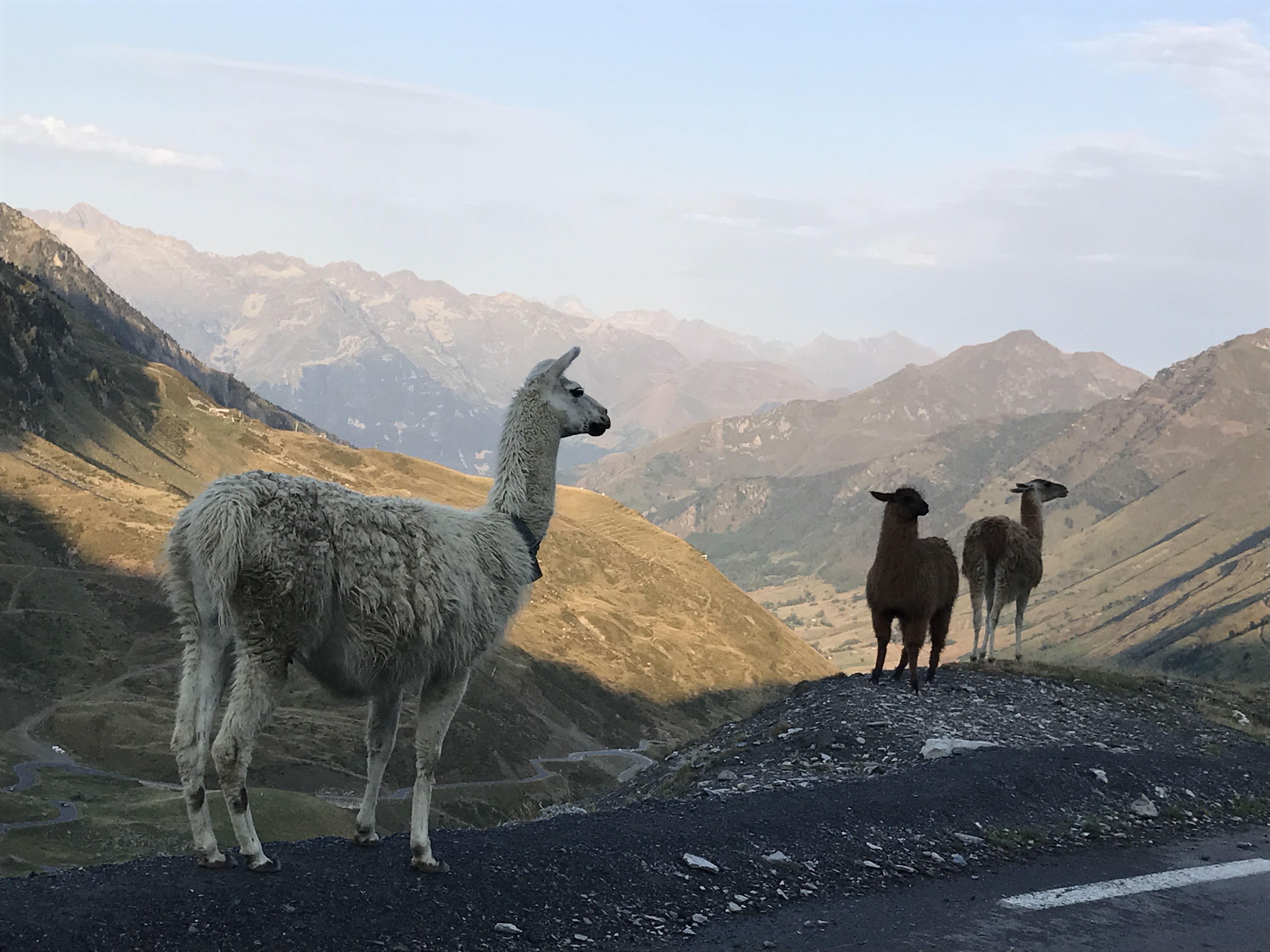 rallye-nature-a-la-decouverte-de-la-mongie