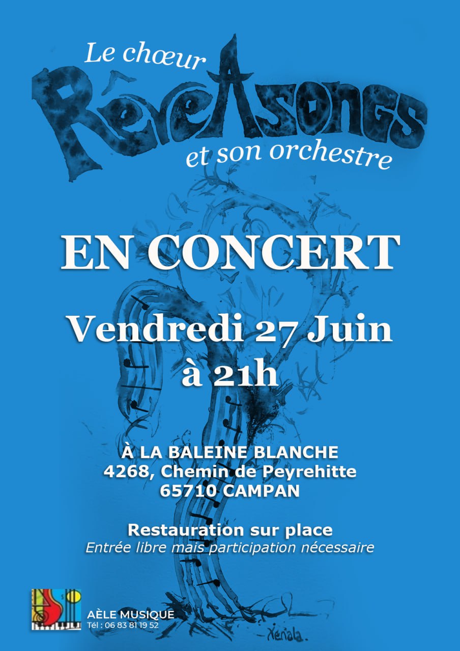 concert-reveasong-et-son-orchestre-jam-session