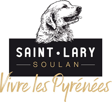 LOGO_ST_LARY_Signature_2020_DEF-PNG-PETIT