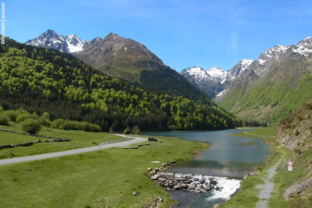 PURELY PYRENEES