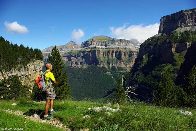 PURELY PYRENEES