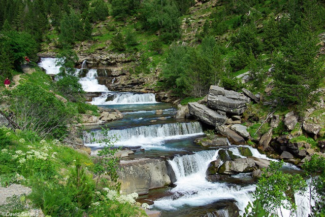 PURELY PYRENEES