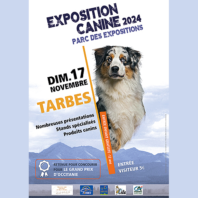 Exposition canine Le 17 nov 2024