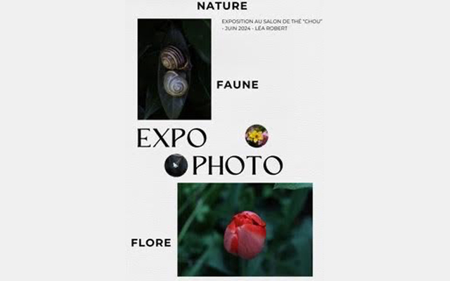 Exposition "Nature" par Léa Robert Du 4 juin au 1 juil 2024