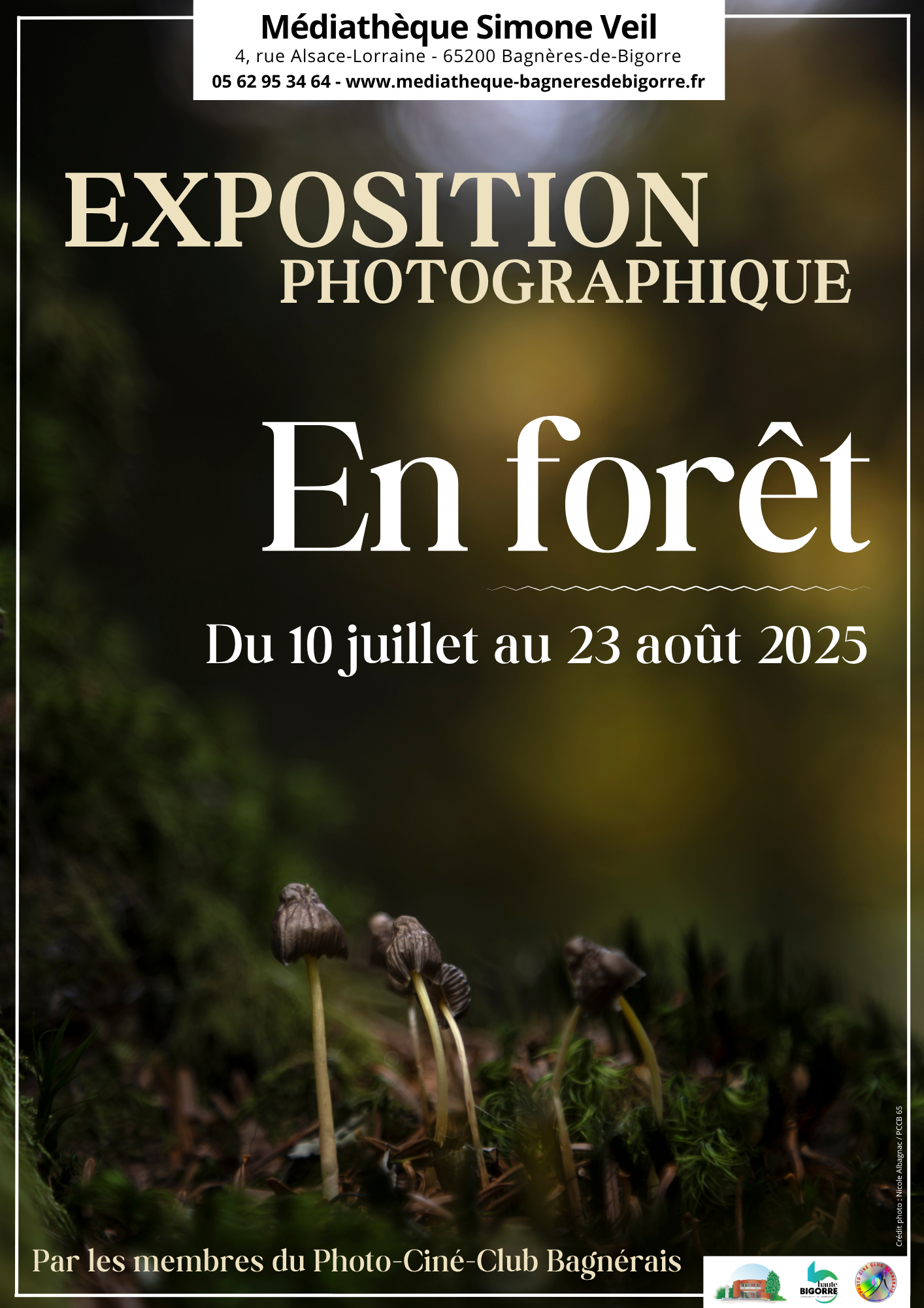 exposition-photographique-en-foret
