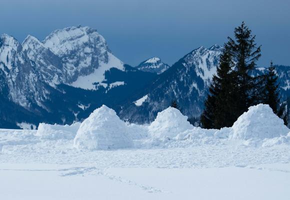 Atelier de construction d’igloos - 0