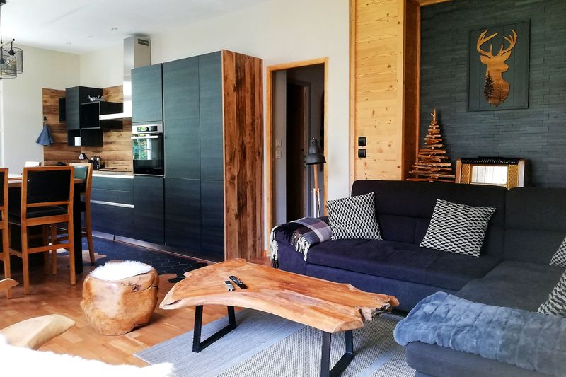 Appartement cosy ambiance montagne