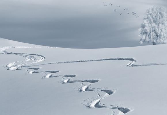 Le réveillon au sommet - 0